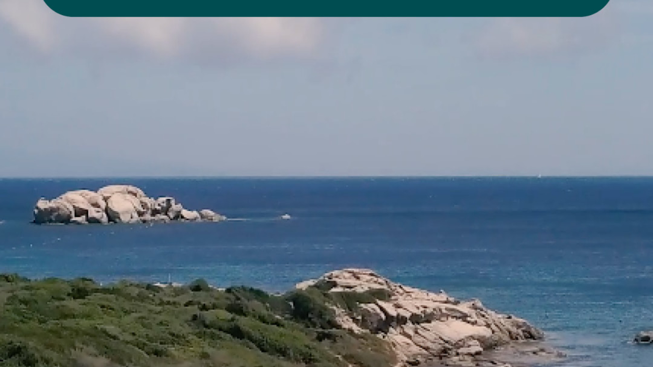 Copert Reel-summer lab-2